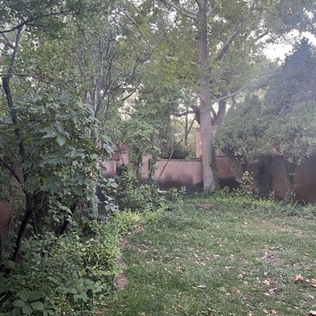 El Pinto - Patio view - New Mexican Cuisine Near Me - Albuquerque, New Mexico