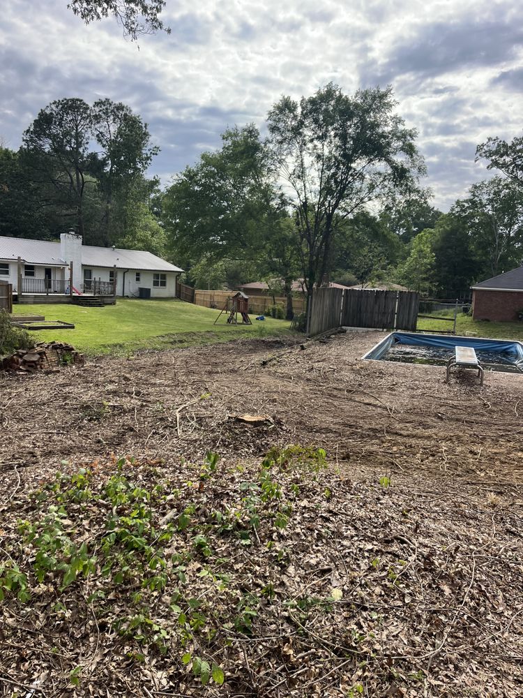 Liberty Tree And Outdoors - tree service in Bolton, MS