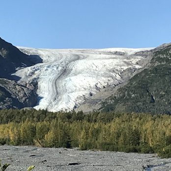 Exit Glacier and Harding Icefield Trail - Close up - Hiking Near Me - Seward, Alaska