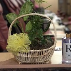 R&R Nails and Spa