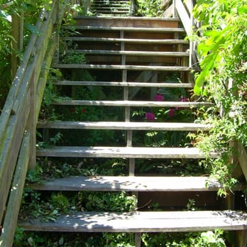 Filbert Steps - Local Flavor Near Me - San Francisco, California Filbert Steps - Local Flavor Near Me - San Francisco, California