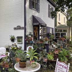Albert Meadow Antiques - Quirky shop