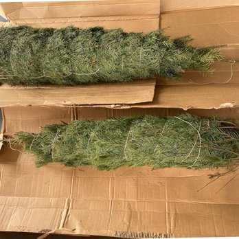 The Home Depot - Online ordered, UPS delivered, farm direct Noble firs. - Hardware Stores Near Me - Pearl City, Hawaii