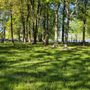 Photo of Lake Milton State Park
