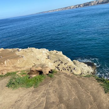 La Jolla Cove - Parks Near Me - La Jolla, California La Jolla Cove - Parks Near Me - La Jolla, California