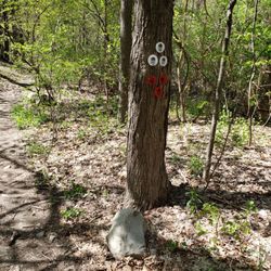 Illinois Mountain Park - Start of the white trail - 5/10/2022