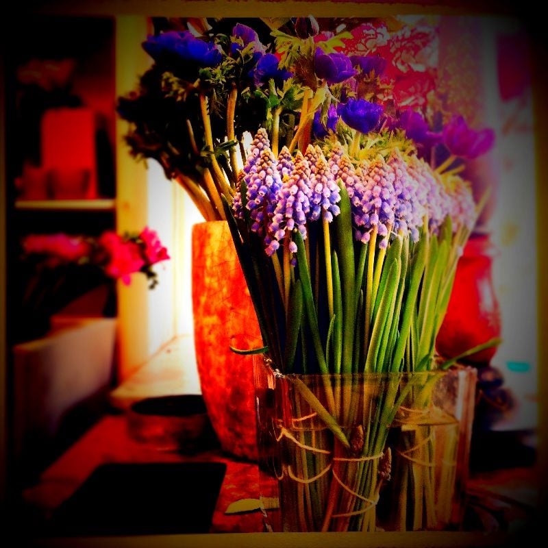 BLUMEN SUSANNE SEULBERGER Raiffeisenstr. 46, Wiesbaden, Hessen