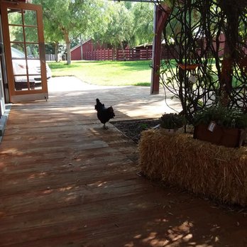 Rancho Los Alamitos - A Chicken - Landmarks & Historical Buildings Near Me - Long Beach, California