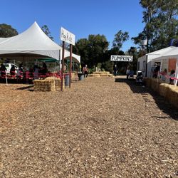 Pumpkin Patch at Webb Ranch