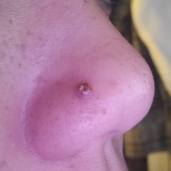 Piercings by Torrie - 1-2wks post piercing - Piercing Near Me - Fort Walton Beach, Florida Piercings by Torrie - 1-2wks post piercing - Piercing Near Me - Fort Walton Beach, Florida