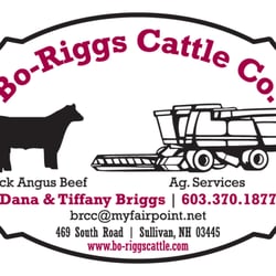 Bo-Riggs Cattle Company