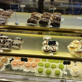 Seattle Meowtropolitan - Themed Cafes Near Me - Seattle, Washington Seattle Meowtropolitan - Themed Cafes Near Me - Seattle, Washington