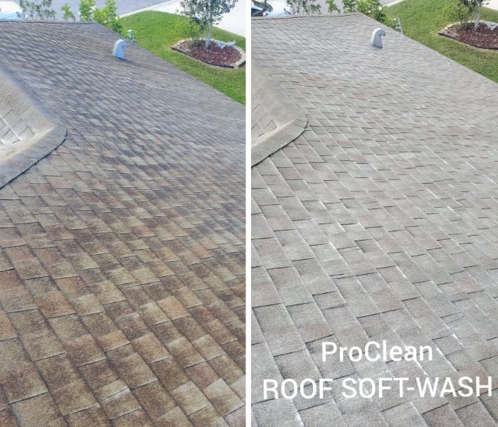 Slide of Tampa Bay Roof Cleaning