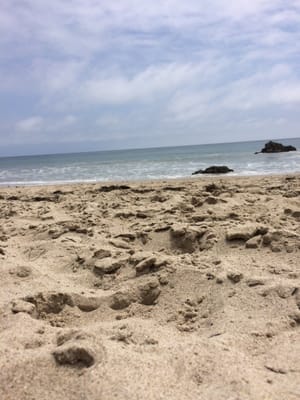 Broad Beach Rd by null