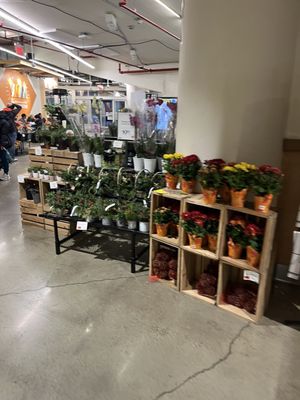 Whole Foods Market by null
