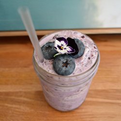 The Wren - Purple Smoothie!! Blue Berries, Banana, Almond Milk (or any), Greek Yoghurt & Nutmeg