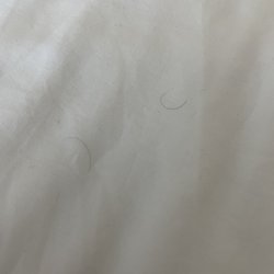 Holiday Inn Express Early - Pubic hairs that's are NOT ours. Disgusting