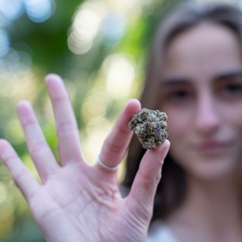 VidaCann - Cannabis Clinics Near Me - Largo, Florida VidaCann - Cannabis Clinics Near Me - Largo, Florida