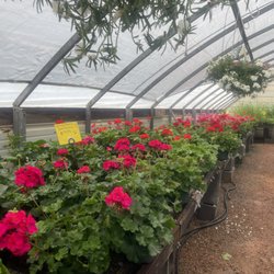 Windy Acres Nursery