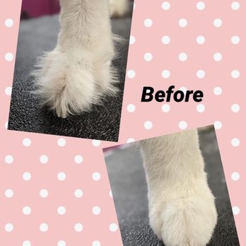 Barker Shop - Pet Groomers Near Me - Ashland, Ohio