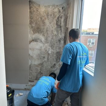 Crown Mold Specialists - Black mold behind the wall - Damage Restoration Near Me - Brooklyn, New York Crown Mold Specialists - Black mold behind the wall - Damage Restoration Near Me - Brooklyn, New York
