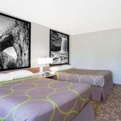 Super 8 by Wyndham Appomattox VA - Guest room