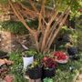 Photo of Gutierrez Property Maintenance