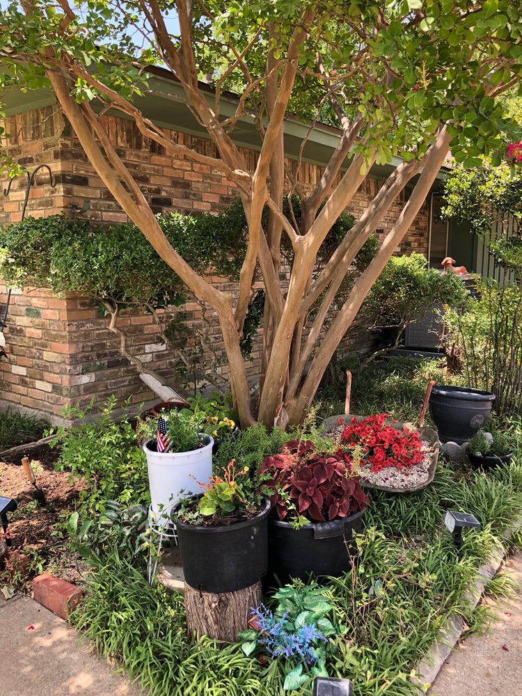 Gutierrez Property Maintenance - tree service in Dallas, TX