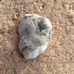 Blue Moon Resort - What do you see? I found it on the beach!