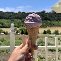 Duckworth Family Farm - 06/27/2020: Homemade blueberry ice cream for $3.50/each. Yummy!!