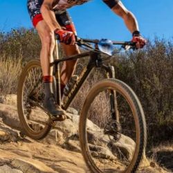 Bear Valley Bikes