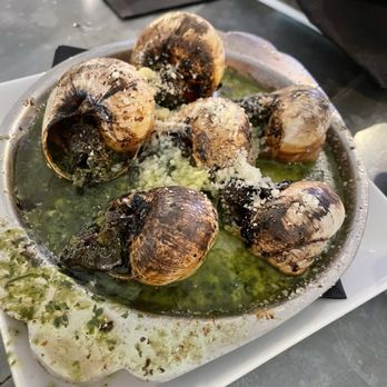 Cognac - Escargot - French Near Me - St. Petersburg, Florida Cognac - Escargot - French Near Me - St. Petersburg, Florida