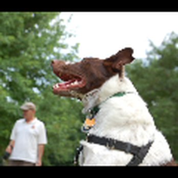 RT Photography - Pet Photography Near Me RT Photography - Pet Photography Near Me