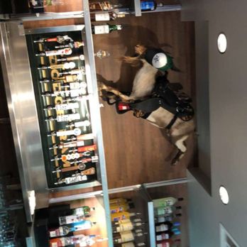 Rodeo Goat - Look at that rodeo goat! - Burgers Near Me - Plano, Texas Rodeo Goat - Look at that rodeo goat! - Burgers Near Me - Plano, Texas