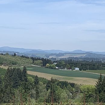 Ponzi Vineyards - Again the view - Wineries Near Me - Sherwood, Oregon Ponzi Vineyards - Again the view - Wineries Near Me - Sherwood, Oregon