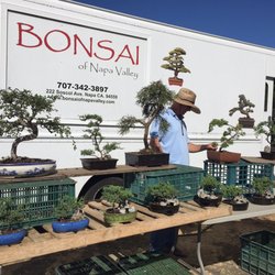 Bonsai of Napa Valley