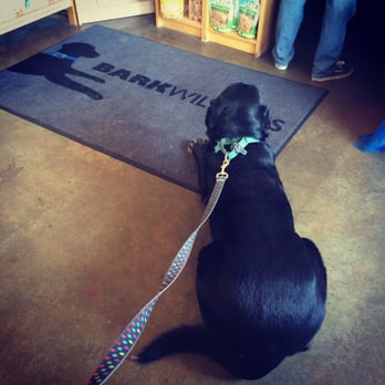 Bark Williams - Dexter patiently waiting for his turn at the tub. what a good boy. - Pet Stores Near Me - Santa Monica, California