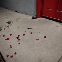 Stardust Lounge - Something terrible has happened here