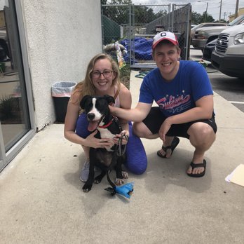 Pet Rescue By Judy - Animal Shelters Near Me - Sanford, Florida