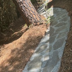 Davis Mancia Landscaping