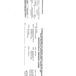 E-Z Rent A Car - I'm sorry I accidentally took this important document from the glove box: FL Registration for Temp License