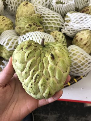 Tan Sang Tropical Fruit by null