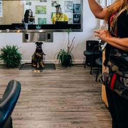 Oldroute66wellness - Best Recreational Marijuana Dispensary in Springfield Missouri