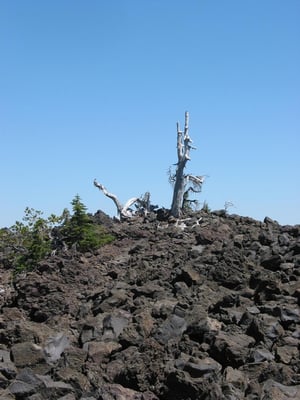 McKenzie Pass by null