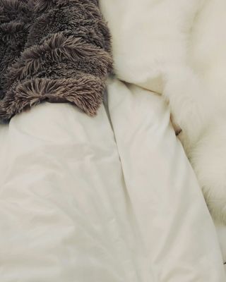 Mile End Glamping by null