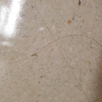 Stanley Steemer - Hair sealed into the tile. - Carpet Cleaning Near Me - Clifton, New Jersey