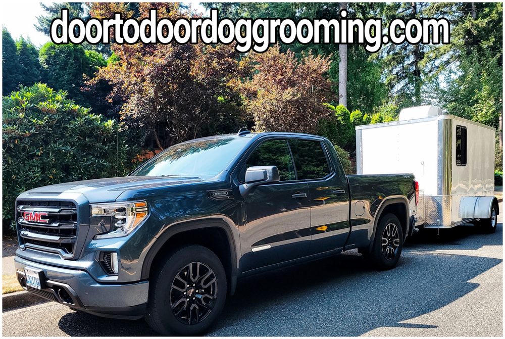 Door-to-Door Dog Grooming