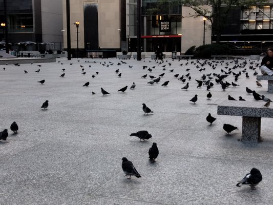Richard J. Daley Center by null