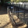 Photo of South Slope Dog Run