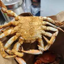 Thompson Seafood Corner Market - Male crab